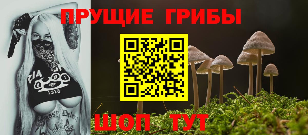 Псилоцибиновые грибы Psilocybine cubensis  где продают наркотики  Коммунар  Псилоцибиновые грибы ЛСД  Вход с VPN 